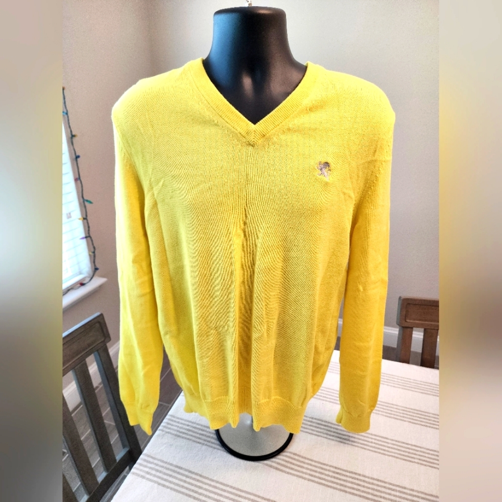 Express Men's Yellow V-Neck Sweater Pullover